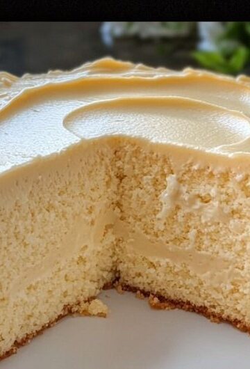 473761855 673188191699587 7093009982350200454 N