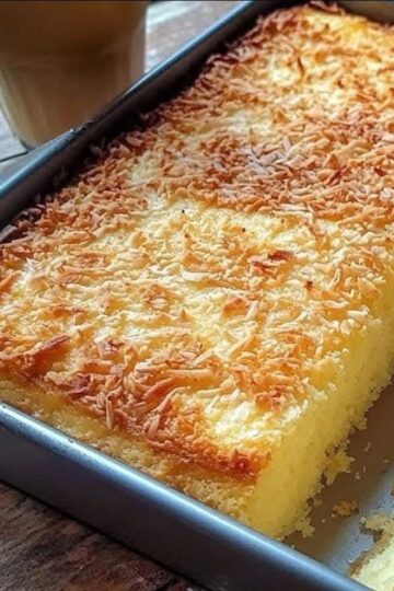 474959693 1286122866040014 5646763265540275154 N