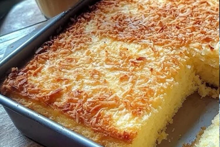 474959693 1286122866040014 5646763265540275154 N