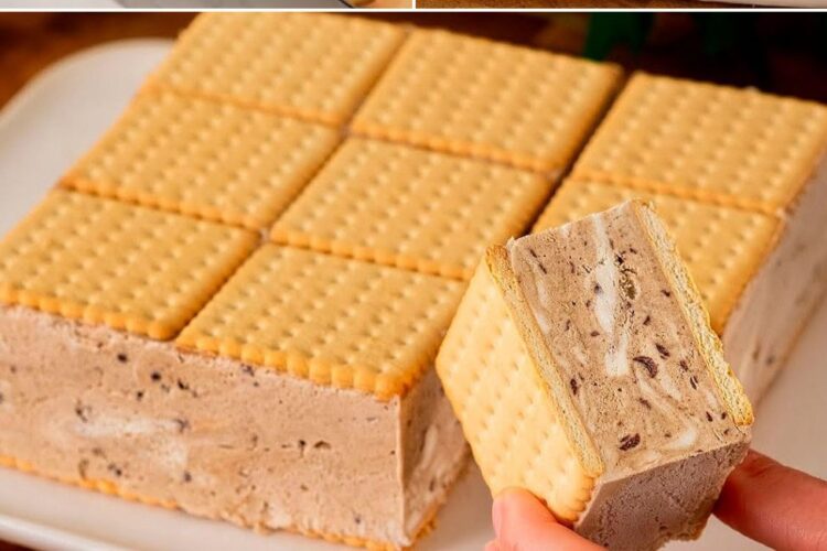 476085987 547566091641164 447231296160976734 N