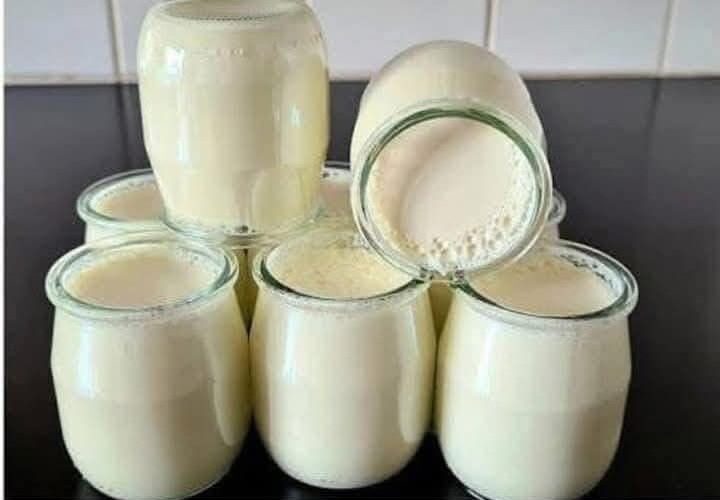 476831892 608200988843304 4559830006474518082 N