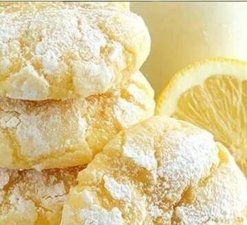 477902927 9115714228466346 6886270196562975807 N