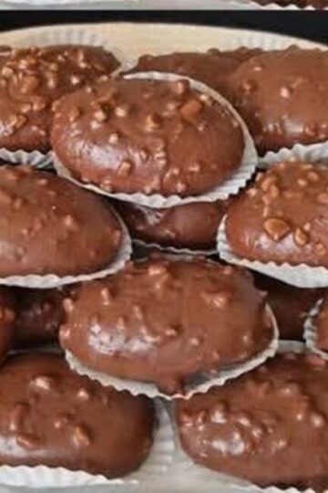 480095370 978104544414918 1426089351885332872 N