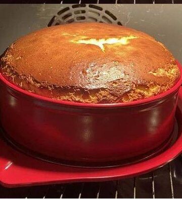 480449332 122304917264001613 6265798528753037841 N