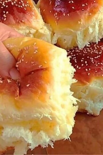 482091457 1017967373478855 6583086047532029944 n