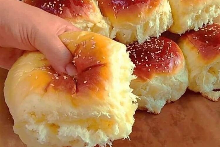 482091457 1017967373478855 6583086047532029944 n