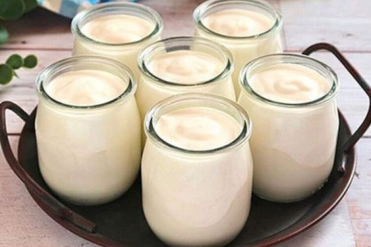 485800552 549605921494318 8528120188443222681 n