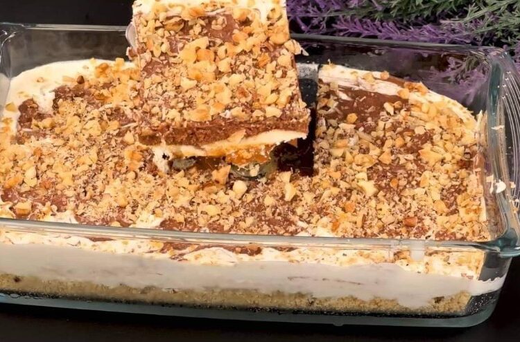 487926193 122397244010145845 5107067421235588854 n