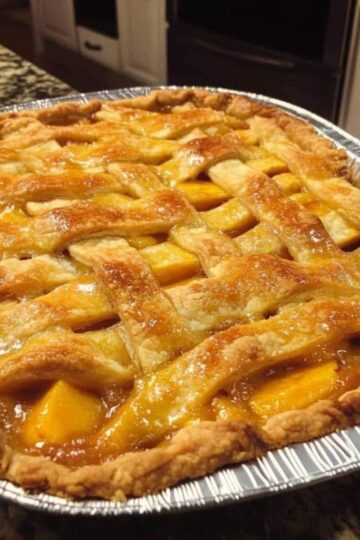 488299653 9655649371165330 5246534018405567246 n