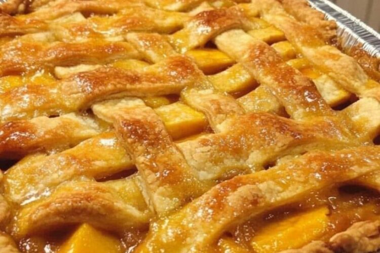 488299653 9655649371165330 5246534018405567246 n