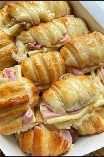 489448142 122397226832145845 12122425697887717 n