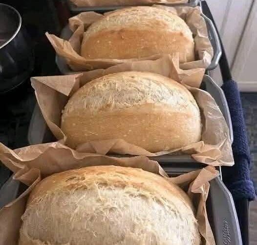 491044190 2686690591721713 1984890381657898103 n