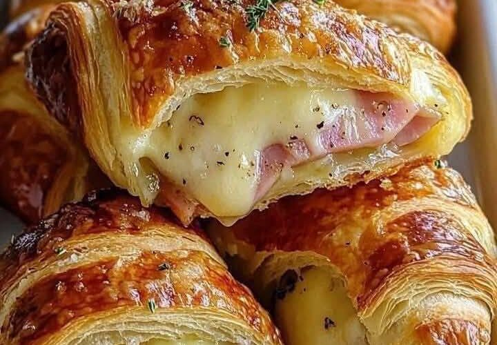 499553912 723694760225766 8449681250567142175 n