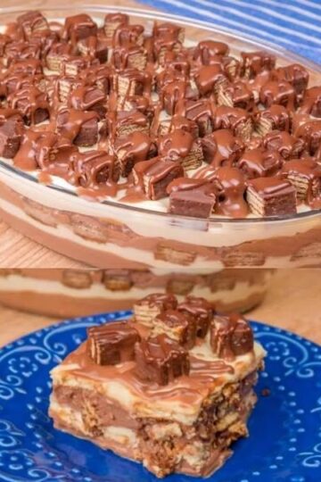 526998226 3338671909605620 1567278418389084613 n