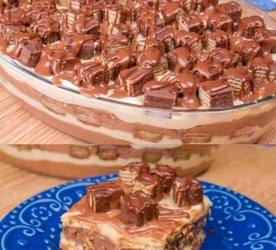 526998226 3338671909605620 1567278418389084613 n